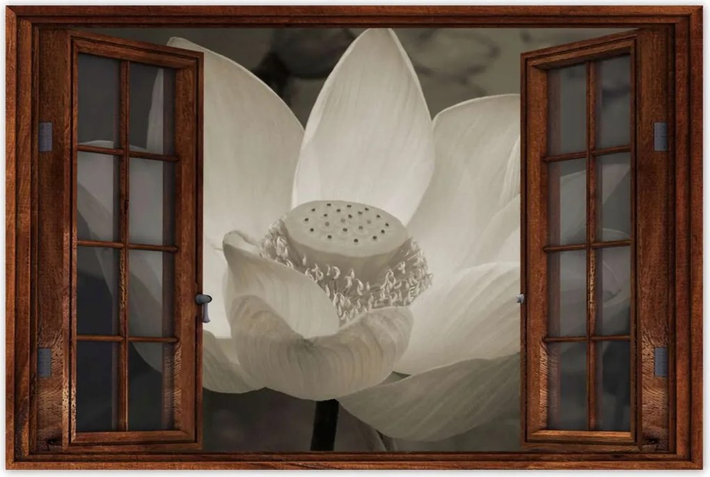 Poszterek 90x60 Lótusz Lótuszvirág