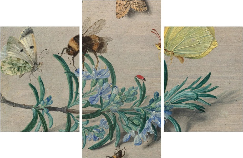 Kép - Jan van Kessel the Elder, Insects and a Sprig of Rosemary, reprodukciók (90x60 cm)