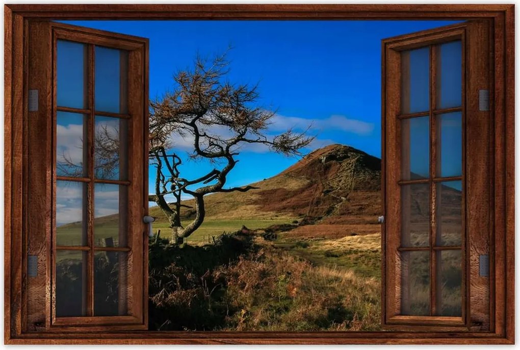 Poszterek 60x40 Elpusztíthatatlan fa