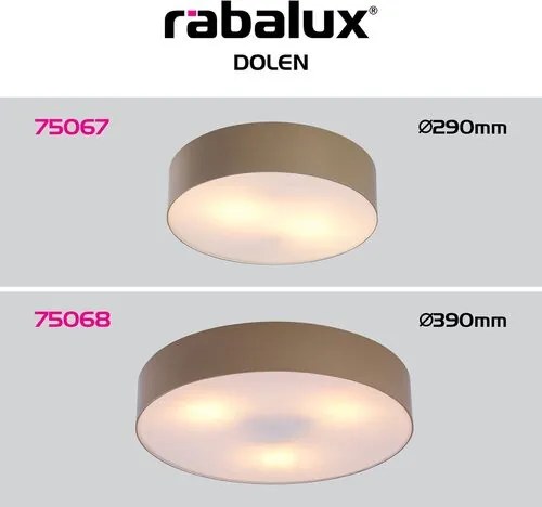 RÁBALUX 75067 DOLEN Modern Kültéri Mennyezeti Lámpa Grézs E27 IP44