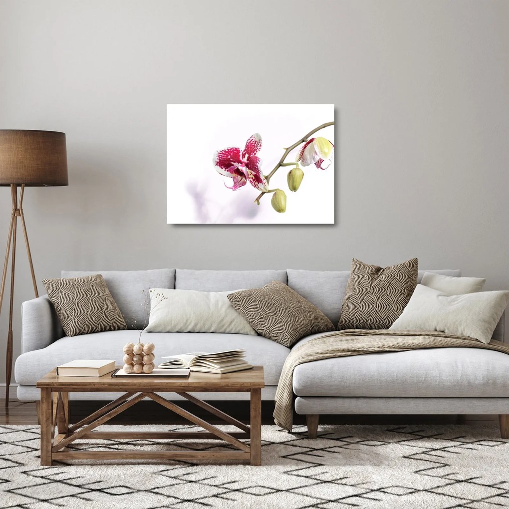 Orchidea virág képe (üvegen) (70x50 cm)