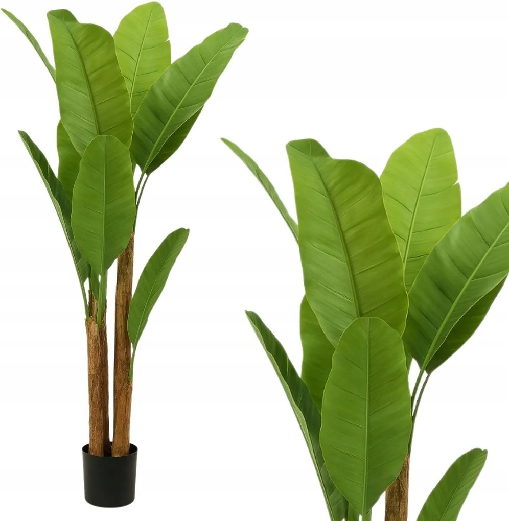 Banánfa Cserépben 160 cm Nagy, Mint Egy Élő Növény Fa Virág