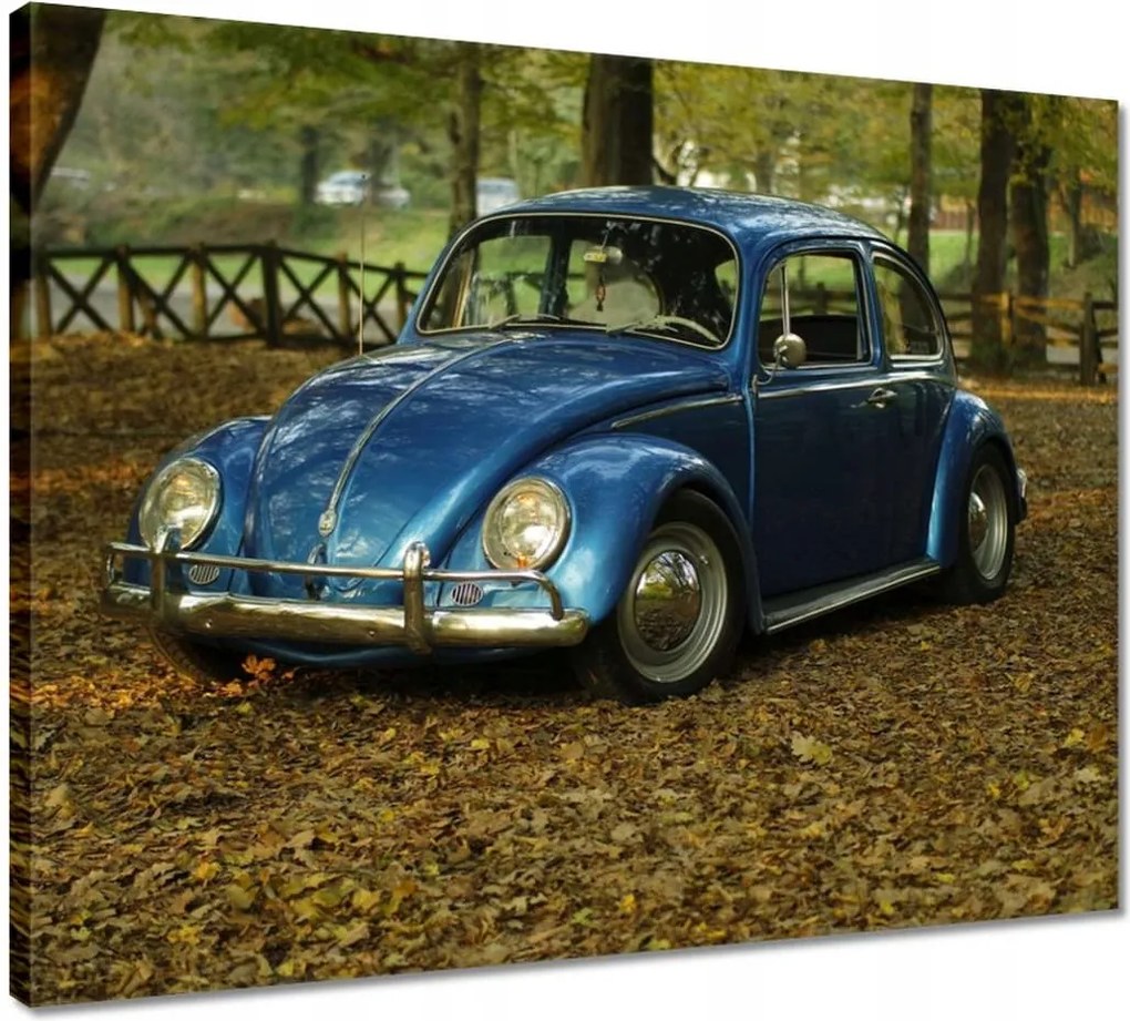 Vászonkép 50x40 Bogár Vw autó]
