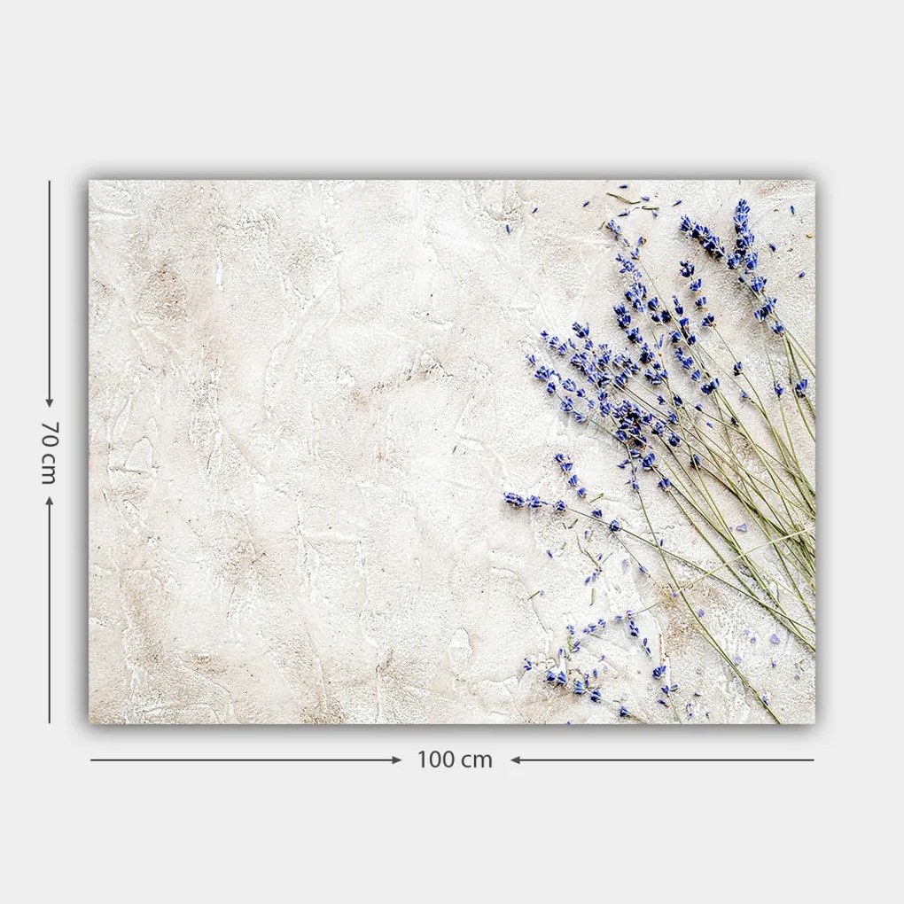 Vászonkép, 70×100 cm – TR441HPE2718