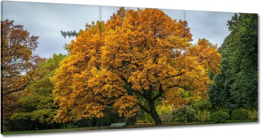 Festmények 180x90 Fa