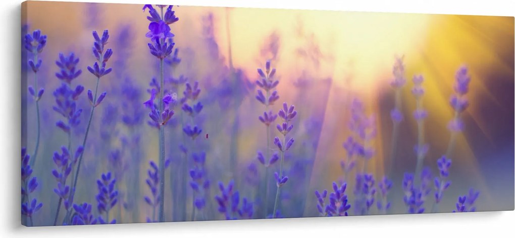 Kép - Levendula (120x50 cm)