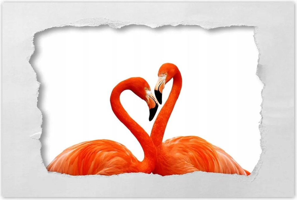 Poszterek 90x60 Szerelmes pelikánok