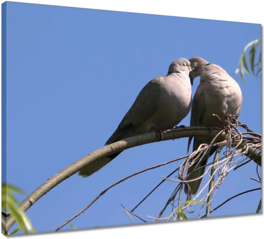 Vászonkép 50x40 Szerelem Érzés Párkapcsolat
