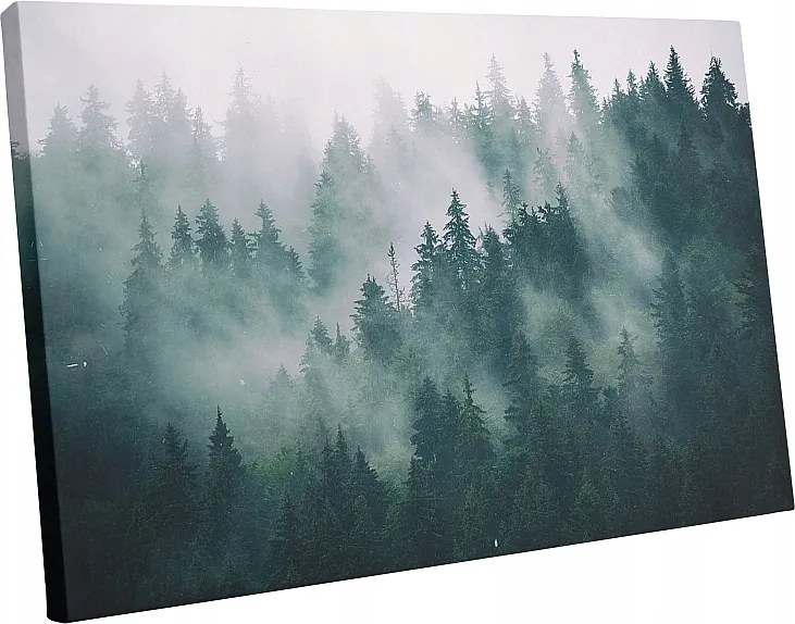 Vászonkép Erdő A Ködben 70X50cm