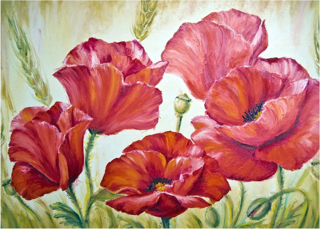Kép - Pipacsvirágok (70x50 cm)