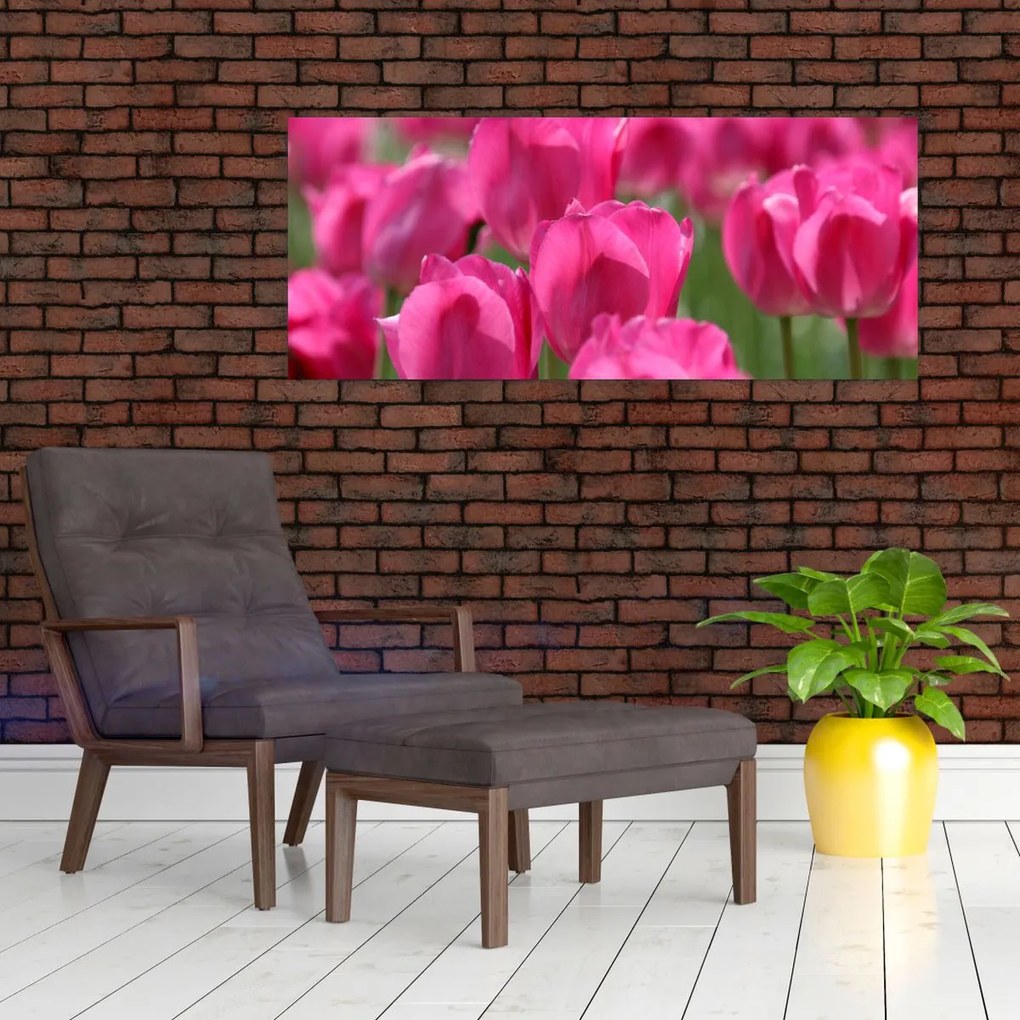 Kép - Rózsaszín tulipánok (120x50 cm)