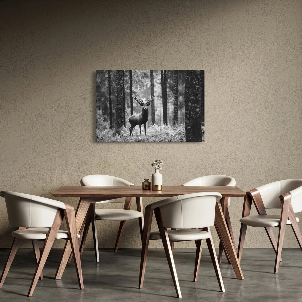 Kép - Szarvas az erdőben 2, fekete-fehér (90x60 cm)