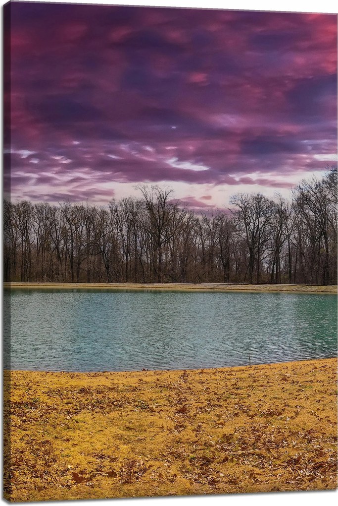 Vászonkép Lila ég tó fák Ősz 40x60 cm
