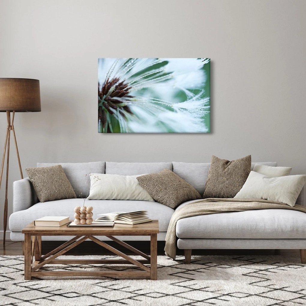 Kép - Egy virág részlete (90x60 cm)