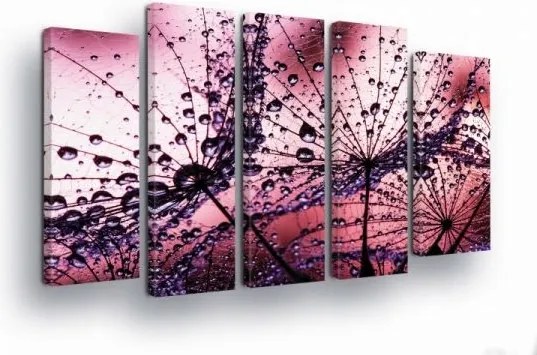 Vászonkép 150x100 Frissesség Rosa Vízcseppek Pitypang könnyedség Természet Finomság