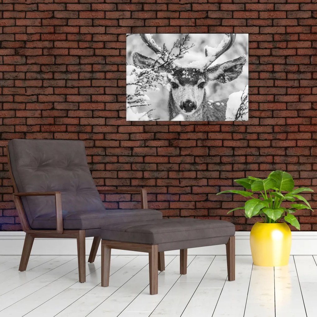 Kép - Szarvasok télen (70x50 cm)