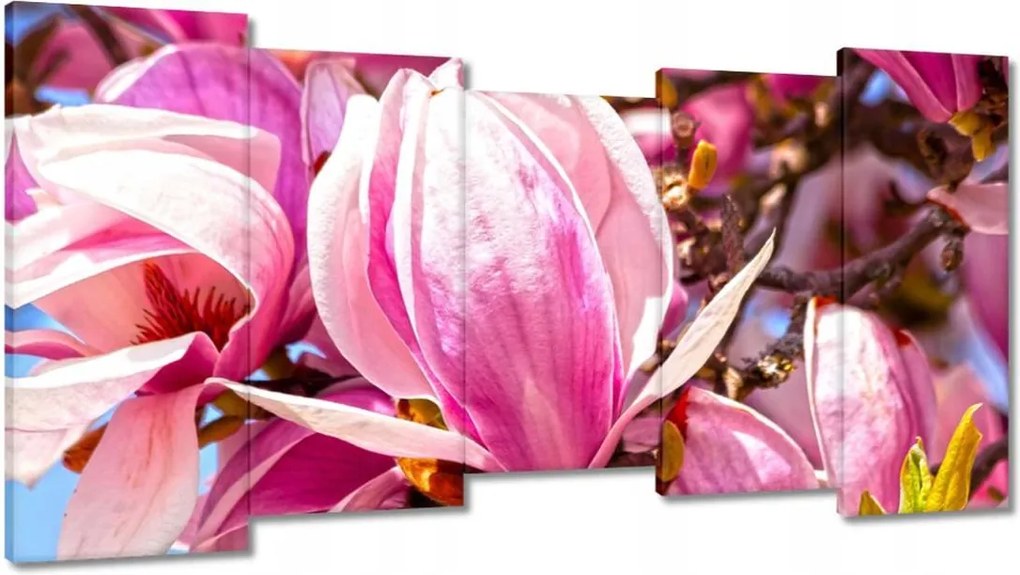 Vászonkép 150x80 Virágok