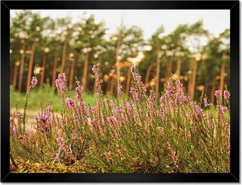 Poszterek keretben 40x30 Pókhálóval fonott hanga