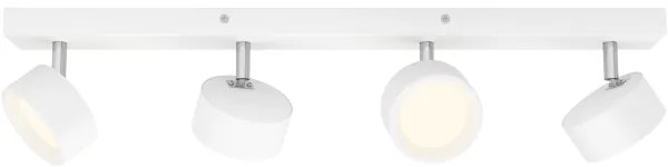 Philips - LED Spotlámpa BRACIA 4xLED/5,5W/230V fehér