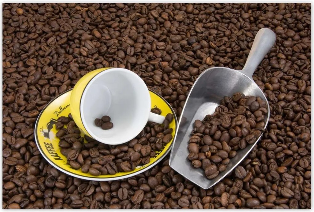 Poszterek 120x80 Természetes kávé szemes