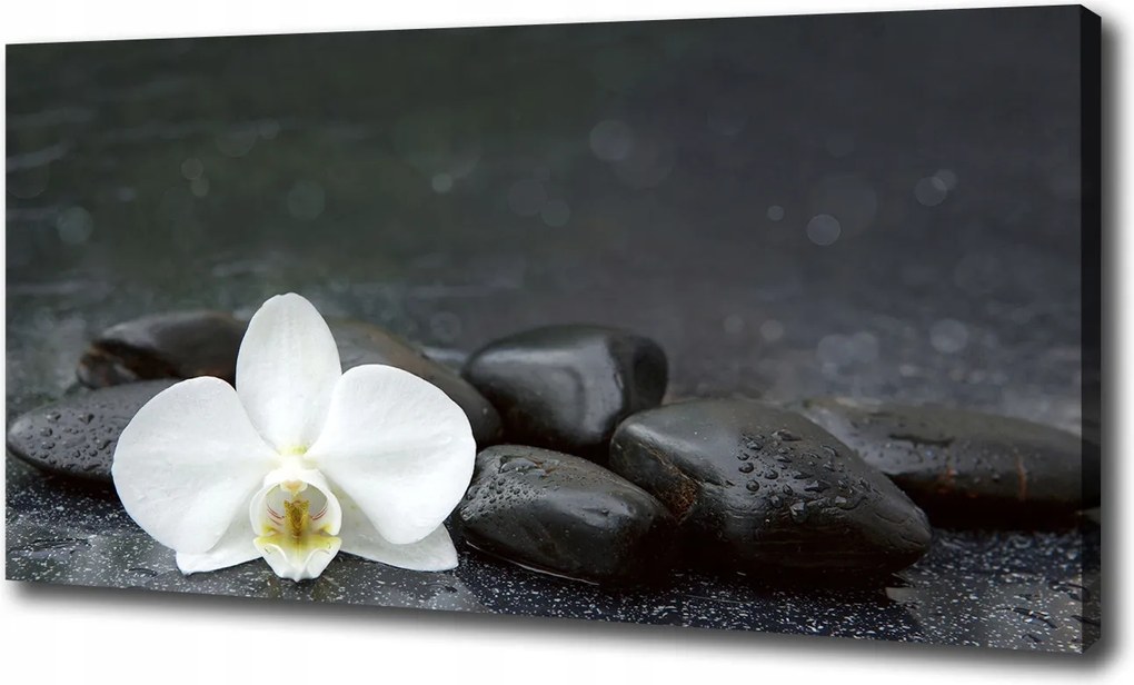 Canvas falikép Orchidea 100x70 cm