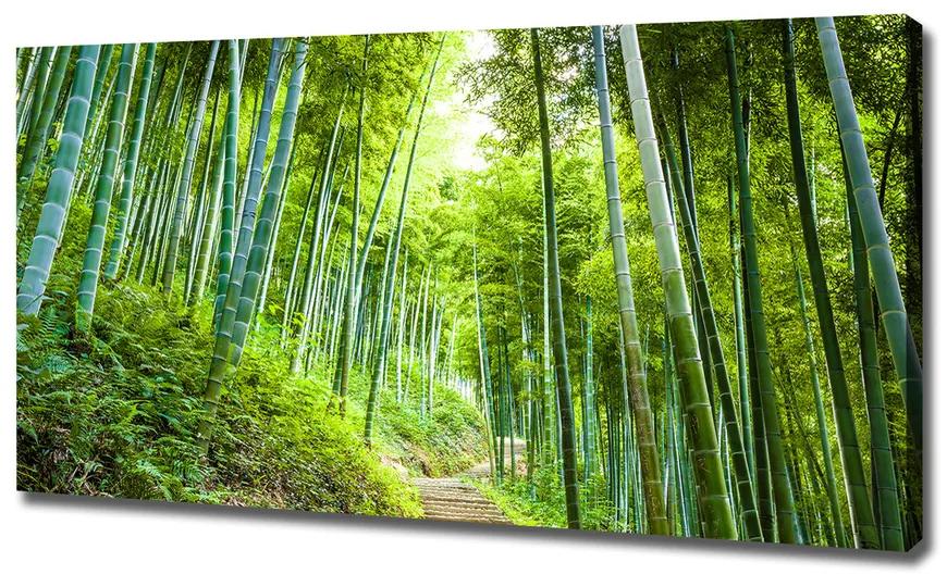 Vászon nyomtatás Bambusz erdő pl-oc-120x60-f-60510509
