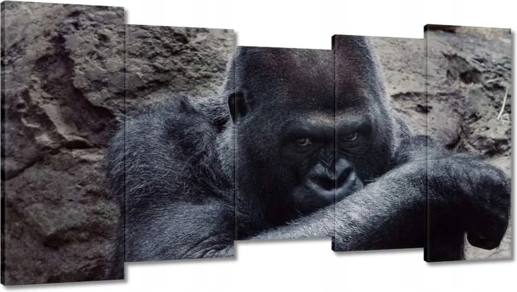 Vászonkép 150x80 Állatok