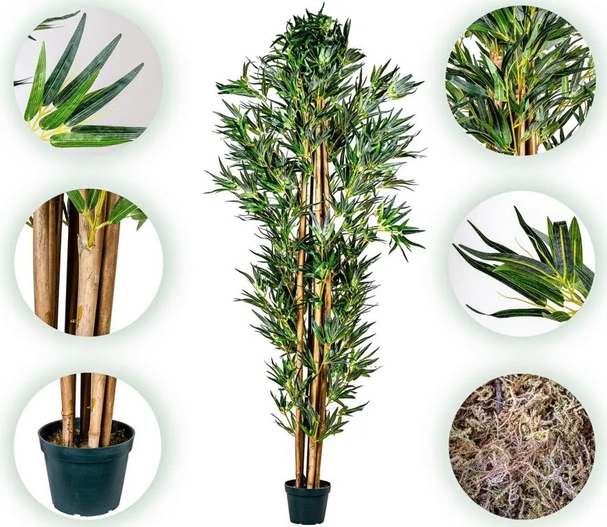 PLANTASIA Műnövény bambusz 220 cm