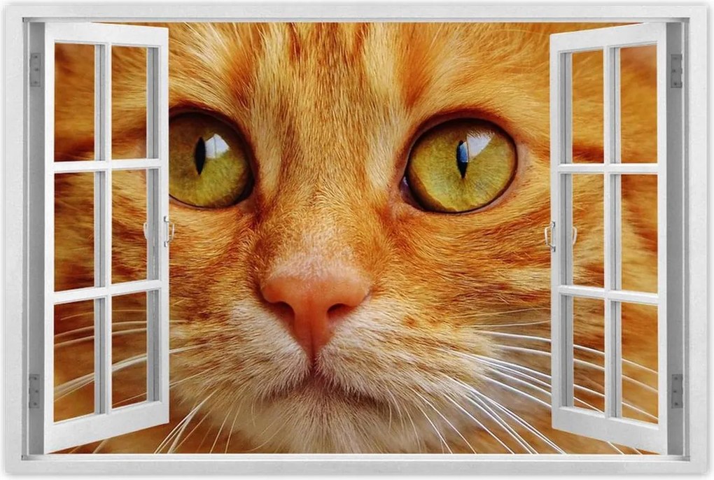 Poszterek 120x80 Cica Cicák