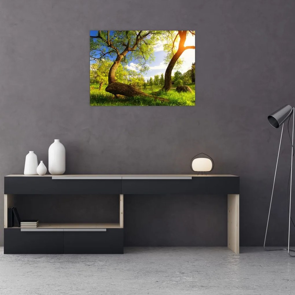 Kép egy tavaszi rétről (70x50 cm)