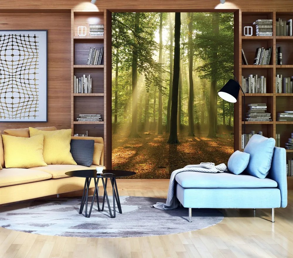 Erdő poszter, fotótapéta, Vlies (206x275 cm, álló)