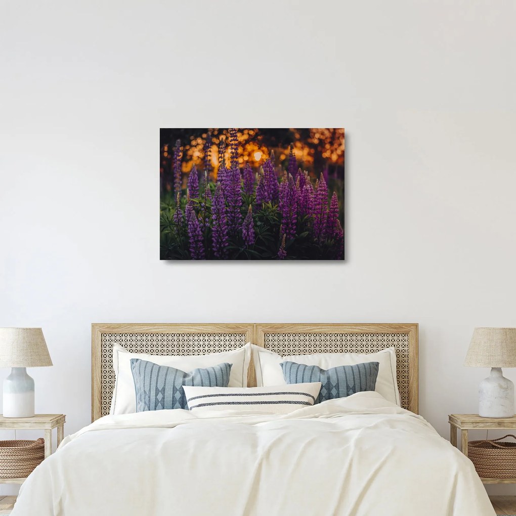 Egy csillagfürt virág képe (üvegen) (70x50 cm)