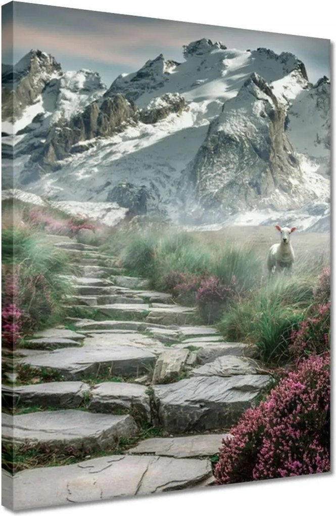 Vászonkép 30x40 Hegyi kilátás Tájkép Köd