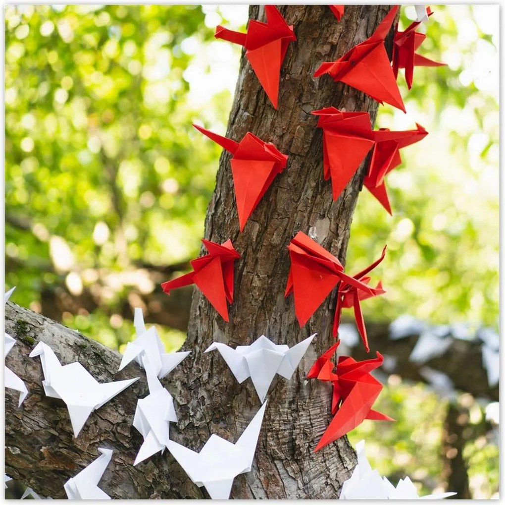 Poszterek 100x100 Papírfa madarak