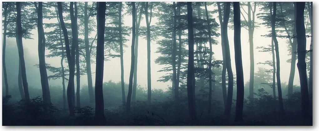 Modern üvegpanel a konyhába Erdő a ködben XXL