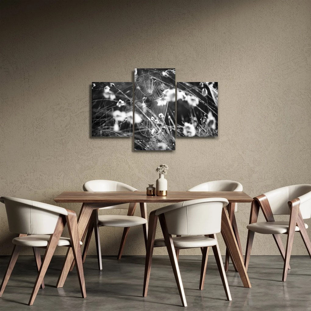 Kép - Pókháló a réten (90x60 cm)
