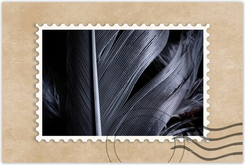 Poszterek 90x60 Fekete toll közelkép