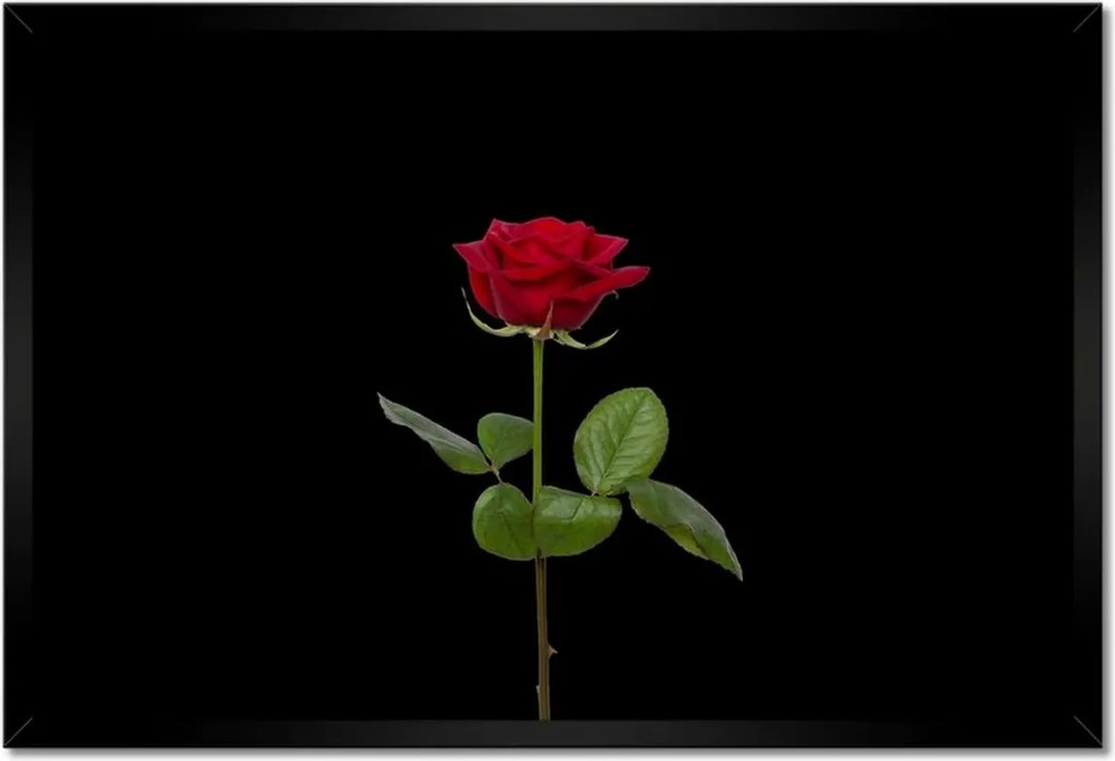 Poszterek keretben 60x40 Nőnap Ajándék Love