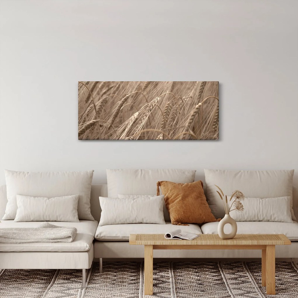 Kép - Az arany mező (120x50 cm)