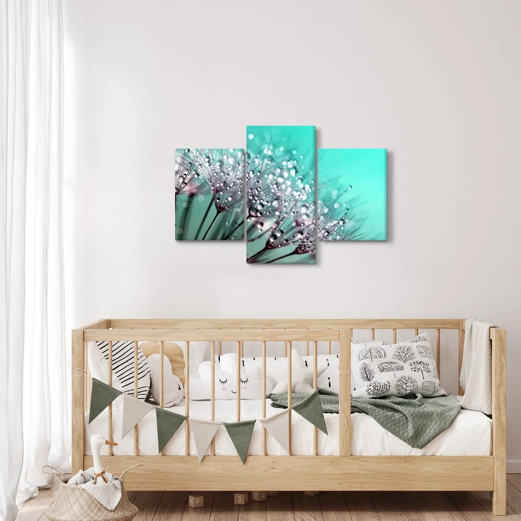 Kép - harmatos növény (90x60 cm)