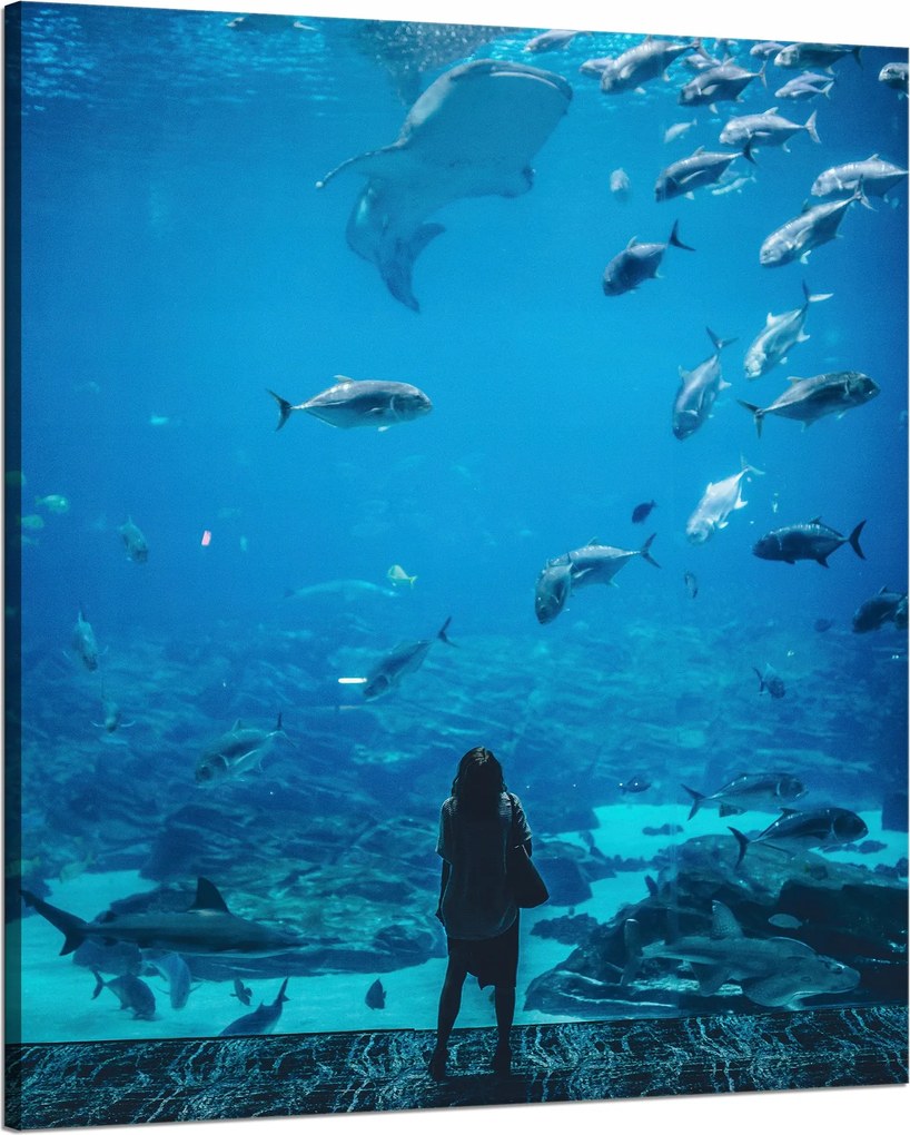 Vászonkép Emberek Akvárium Víz Tengeri Óceán Élet 80x100 cm