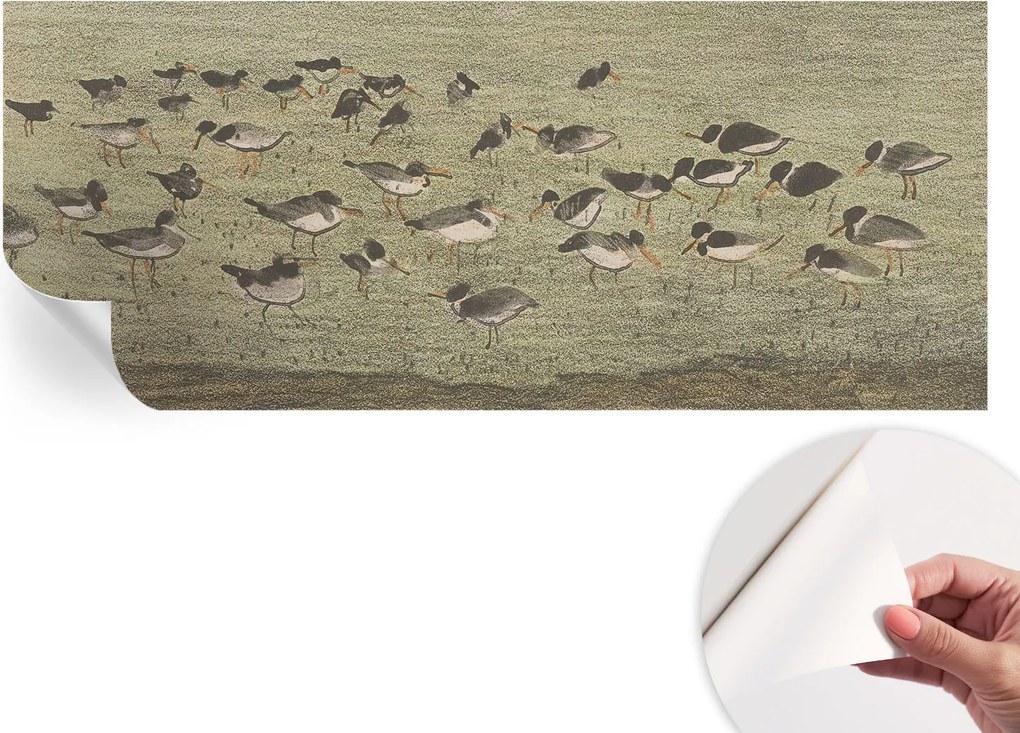 Dekoratív öntapadós fotótapéta Hálószobába Madár nyugalom 250x104 cm