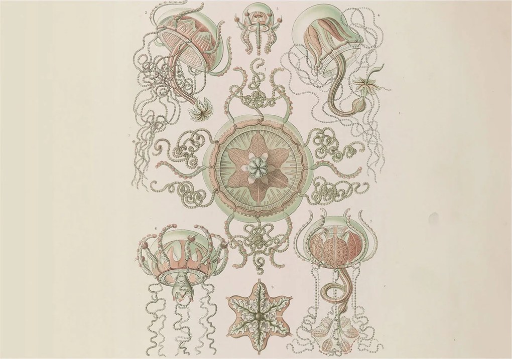 Fotótapéta Flizelin Tapéta Hálószoba és Nappali Víz alatti világ 208x146