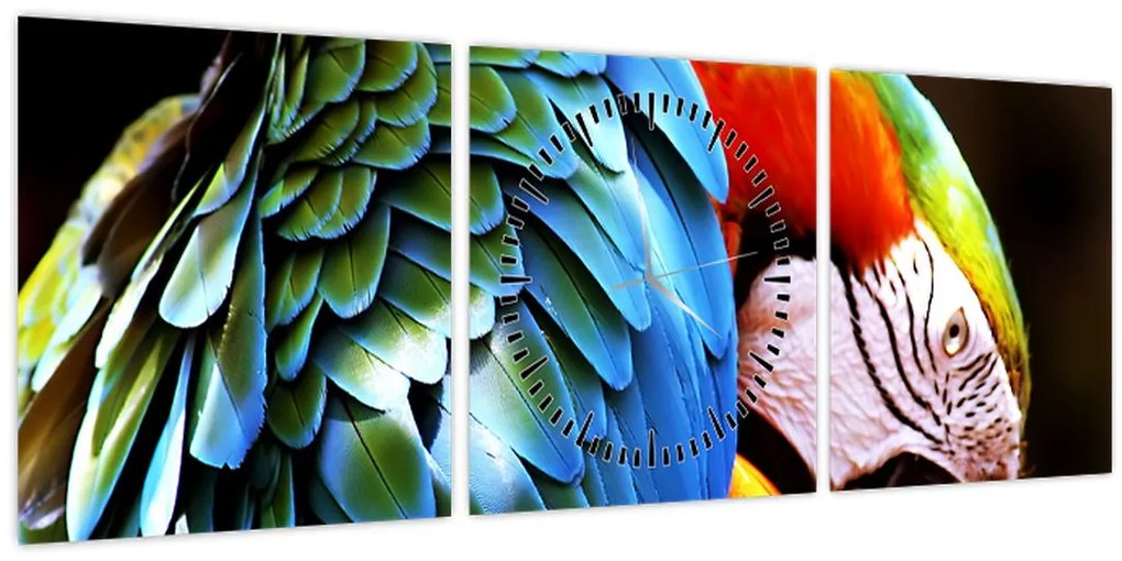 Kép - Papagáj (órával) (90x30 cm)