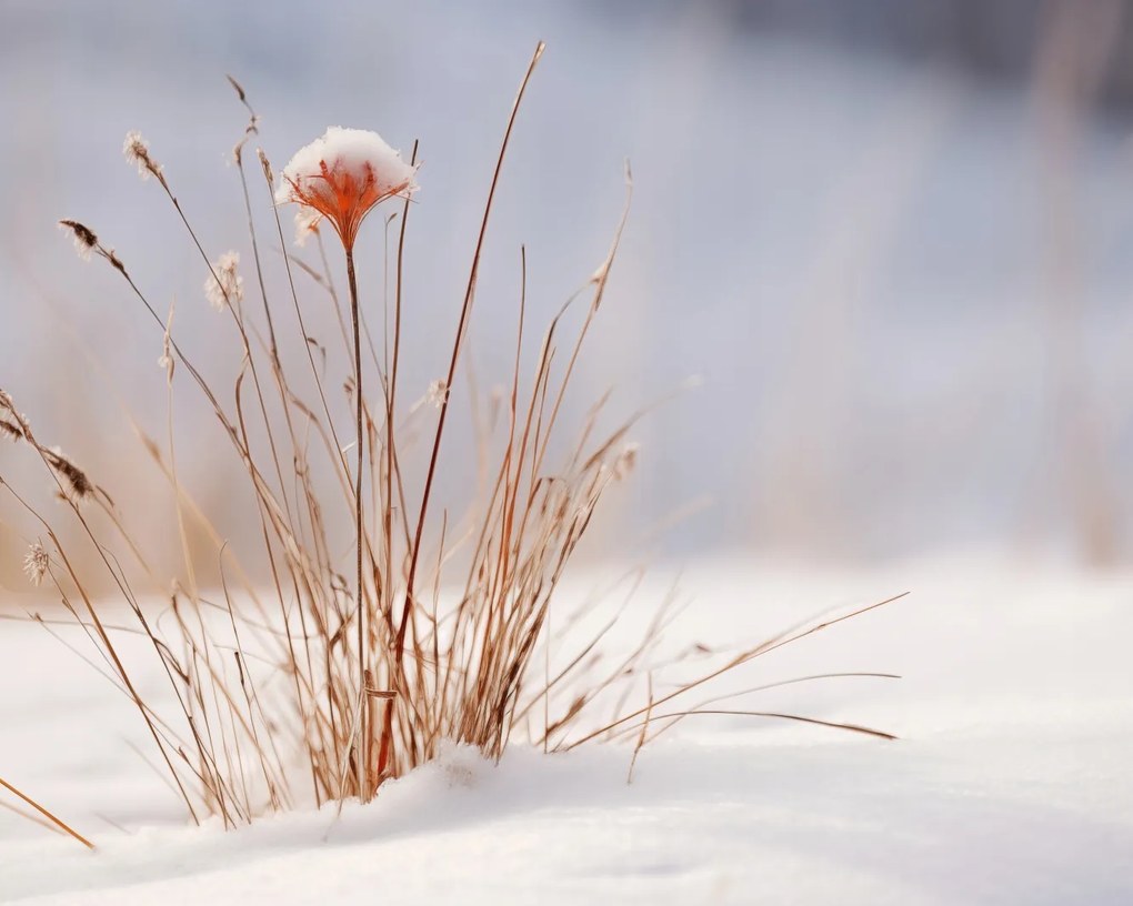 Poszter 50x40cm Tél a részletekben