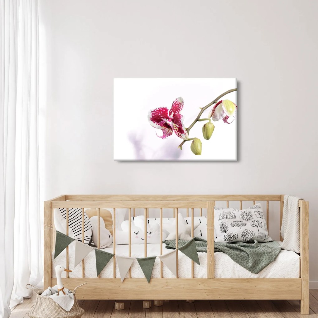 Orchidea virág képe (90x60 cm)
