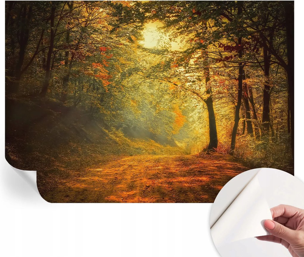 Öntapadós Stílusos Dekoratív Fotótapéta Őszi tájkép 208x146 cm