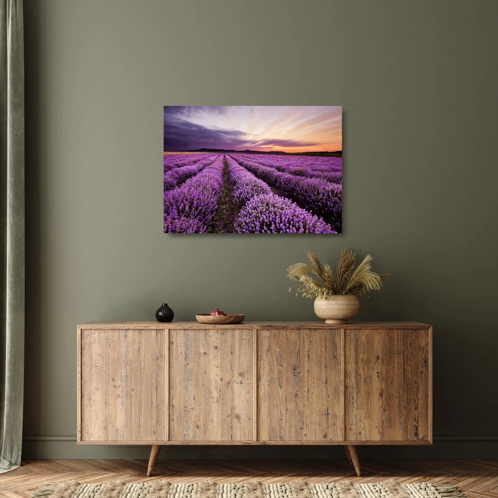 Üveg kép - Levendulamező naplementében (70x50 cm)