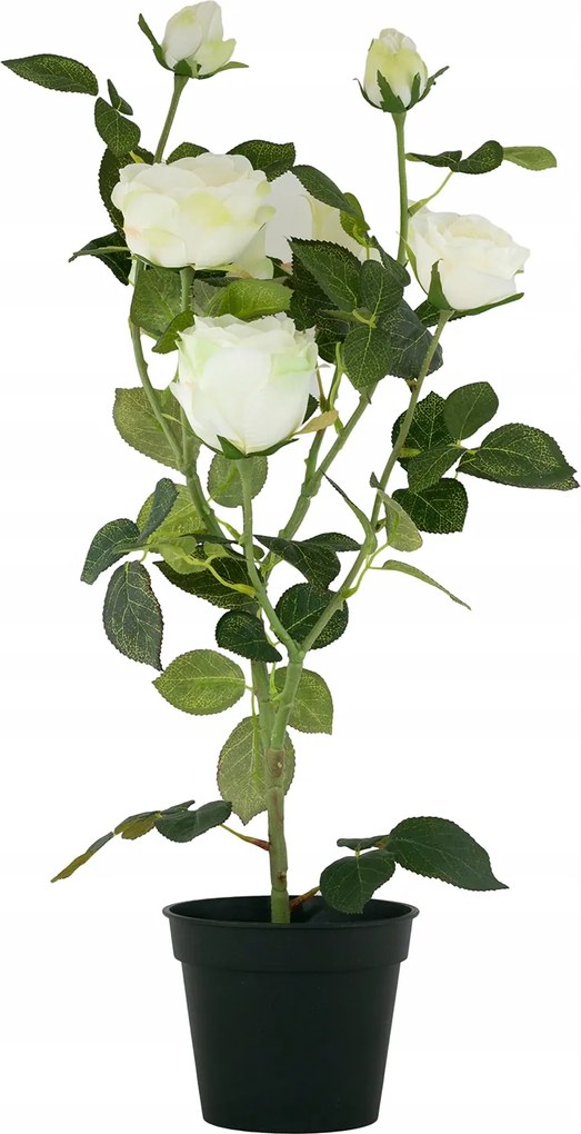 Mesterséges Vadrózsák cserépben, fehér