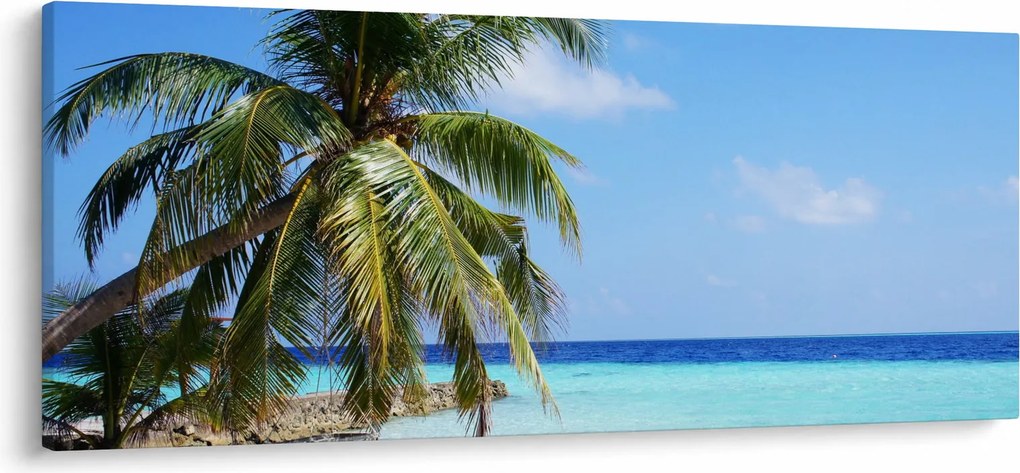Pálmafák a strandon képe (120x50 cm)